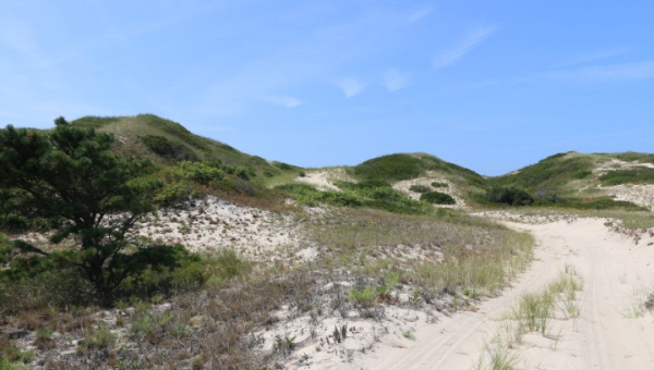 2025 08 12 Heiße Düne