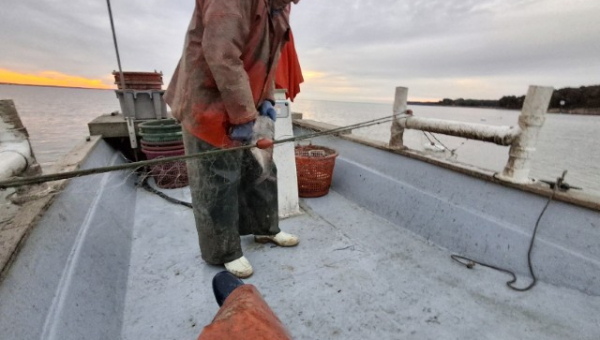 2025 10 26 Fischer-Man 