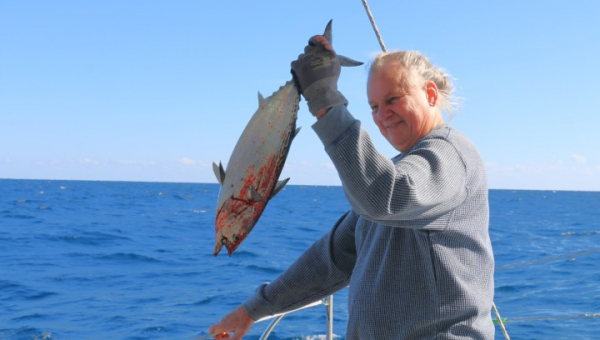 2025 11 24 Tag der Kaps: Cape Hatteras und Cape Lookout, Moorehead City