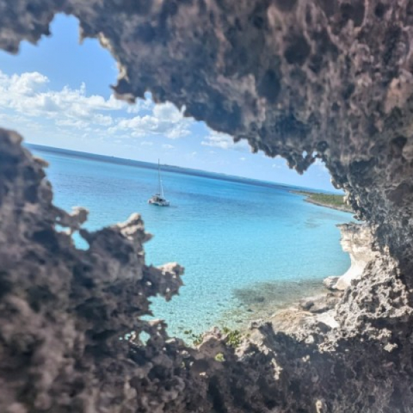 2025 12 31 Bitter Cay - Iguanas