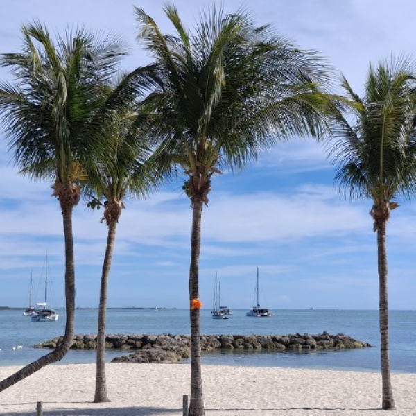 2026 01 11 Wandertag