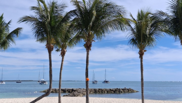 2026 01 11 Wandertag