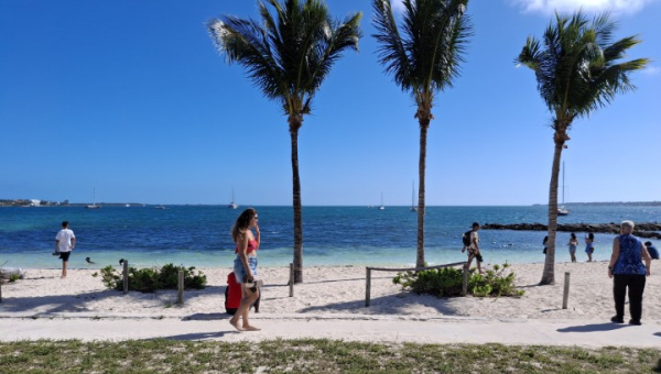 2026 01 25 Sonntagsspaziergang