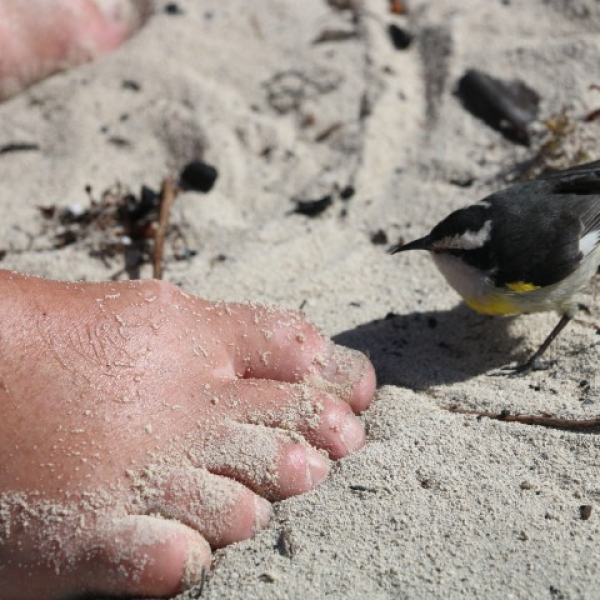 2026 02 06 Cay-Expedition