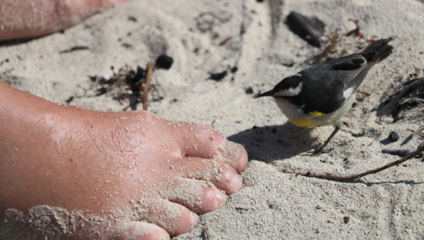 2026 02 06 Cay-Expedition