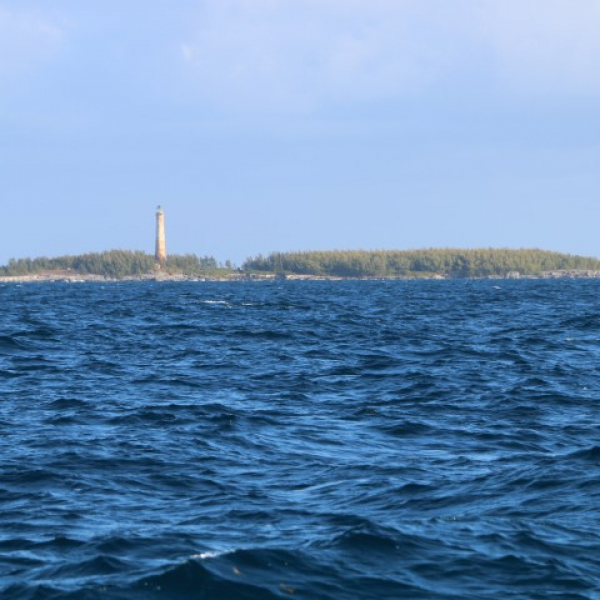 2026 02 18 In den Golfstrom