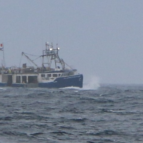 2026 07 25 Segel-Manöver